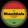Shambhala Baile Reggae / Don Robalo