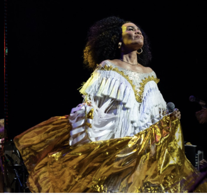 MARIENE DE CASTRO - DONA DA CASA